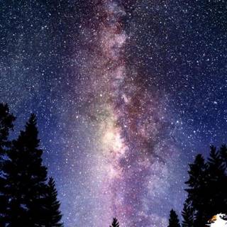 Calvin and Hobbes wallpaper space