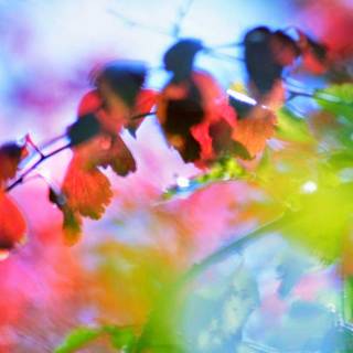 Gambar untuk wallpaper hp