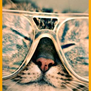 Wallpaper hipster iphone