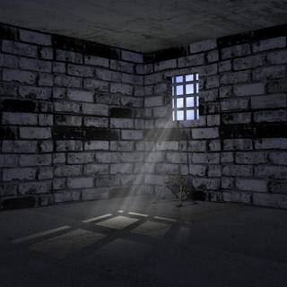 Wallpaper prison