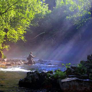 Fly fishing phone wallpaper