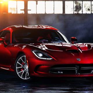 Wallpaper logo viper