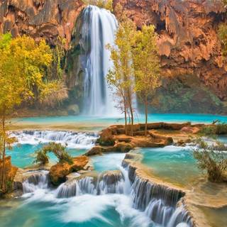 Beautiful nature wallpaper for desktop background