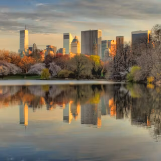 Central park wallpaper view