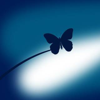 Blue butterfly HD wallpaper