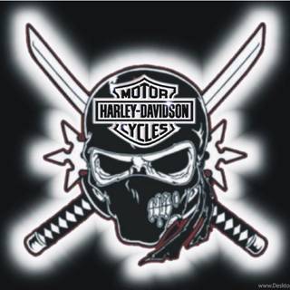 Harley Davidson skull wallpaper