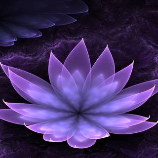 Lotus design wallpaper
