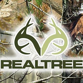 Real tree desktop wallpaper