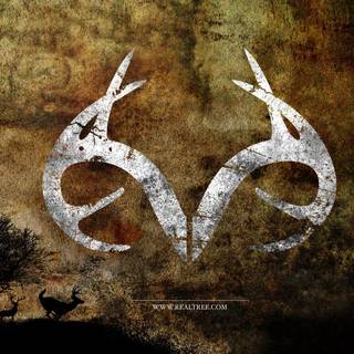 Real tree desktop wallpaper