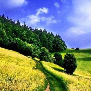 Nature wallpaper for samsung galaxy