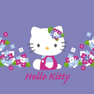 Pink and purple hello kitty wallpaper