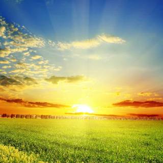 Nature HD new wallpaper