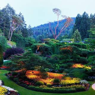 Wallpapers HD 1920x1080 natura