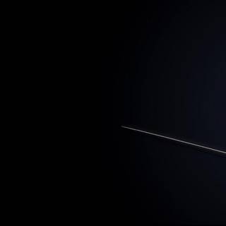 Grey fox wallpaper 1920x1080