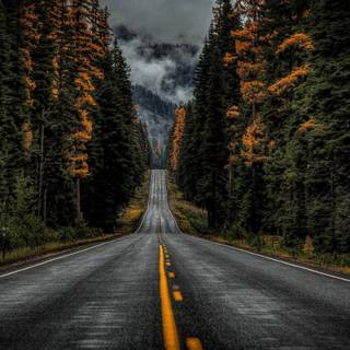 Beautiful road wallpaper