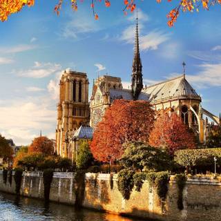 Notre dame cathedral wallpaper