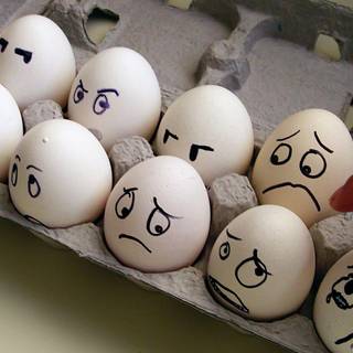 Crazy funny wallpaper