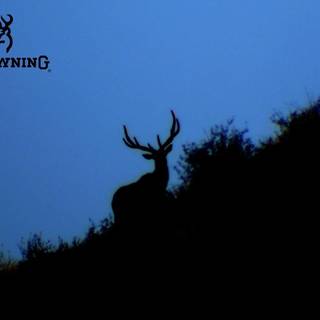 Freebrowningcamobucklogowallpapers