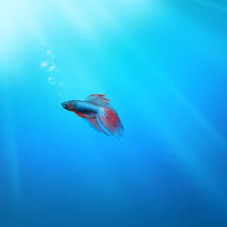 Win7 wallpaper 1920x1080