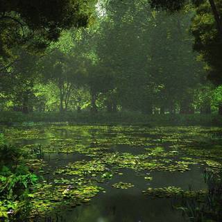 Desktop backgrounds 1440x900