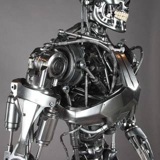 Endoskeleton wallpaper