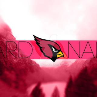 Arizona Cardinals 2018 wallpaper