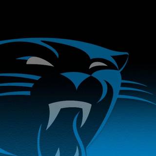 Carolina Panthers 2018 wallpaper