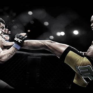HD mma wallpaper