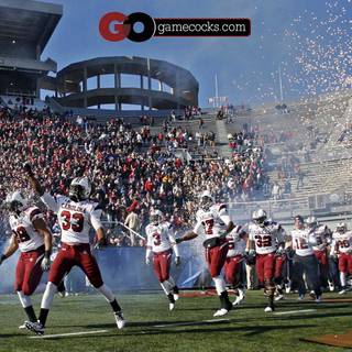 Gamecocks desktop wallpaper