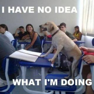 Very funny wallpaper HD for facebook