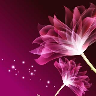 Amazing flower wallpaper