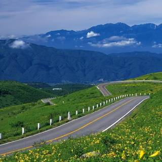 Computer desktop size wallpaper