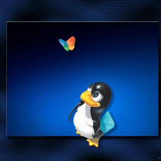 Linux vs Windows wallpaper