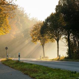 Good Morning background wallpaper free