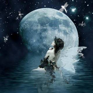 Moon fairy wallpaper HD