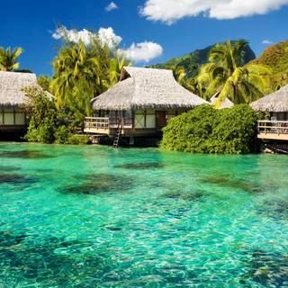 Full HD wallpaper1920*1080