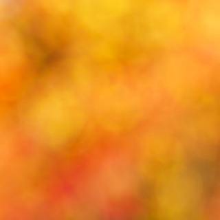 Orange background background