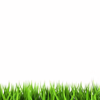 White and green background wallpaper