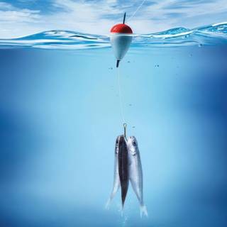 Fishing lure wallpaper HD
