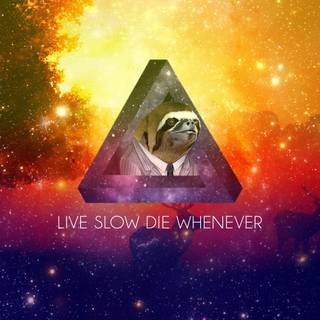 Sloth background