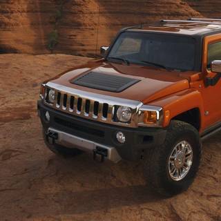 Full HD hummer wallpaper