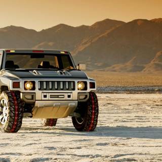 Full HD hummer wallpaper