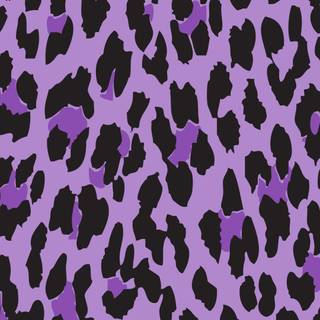 Colorful leopard iphone wallpaper