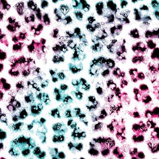 Colorful leopard iphone wallpaper
