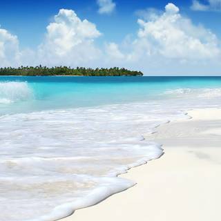 Background white beach