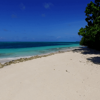 Background white beach
