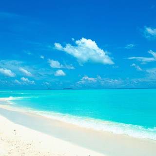 Background white beach