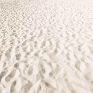 Background white beach