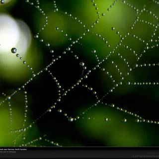 Beautiful rain wallpaper for mobile