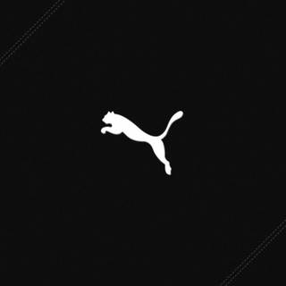 Black puma wallpaper